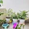 Pot Stand