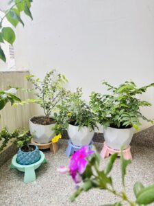 Pot Stand