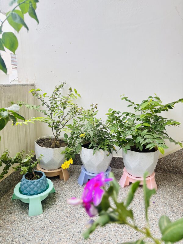 Pot Stand