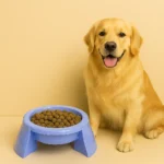 plastic dog feeder