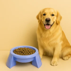plastic dog feeder