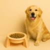 plastic dog feeder